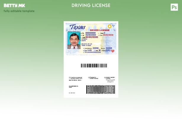 Модерен стил USA Texas DL шаблон